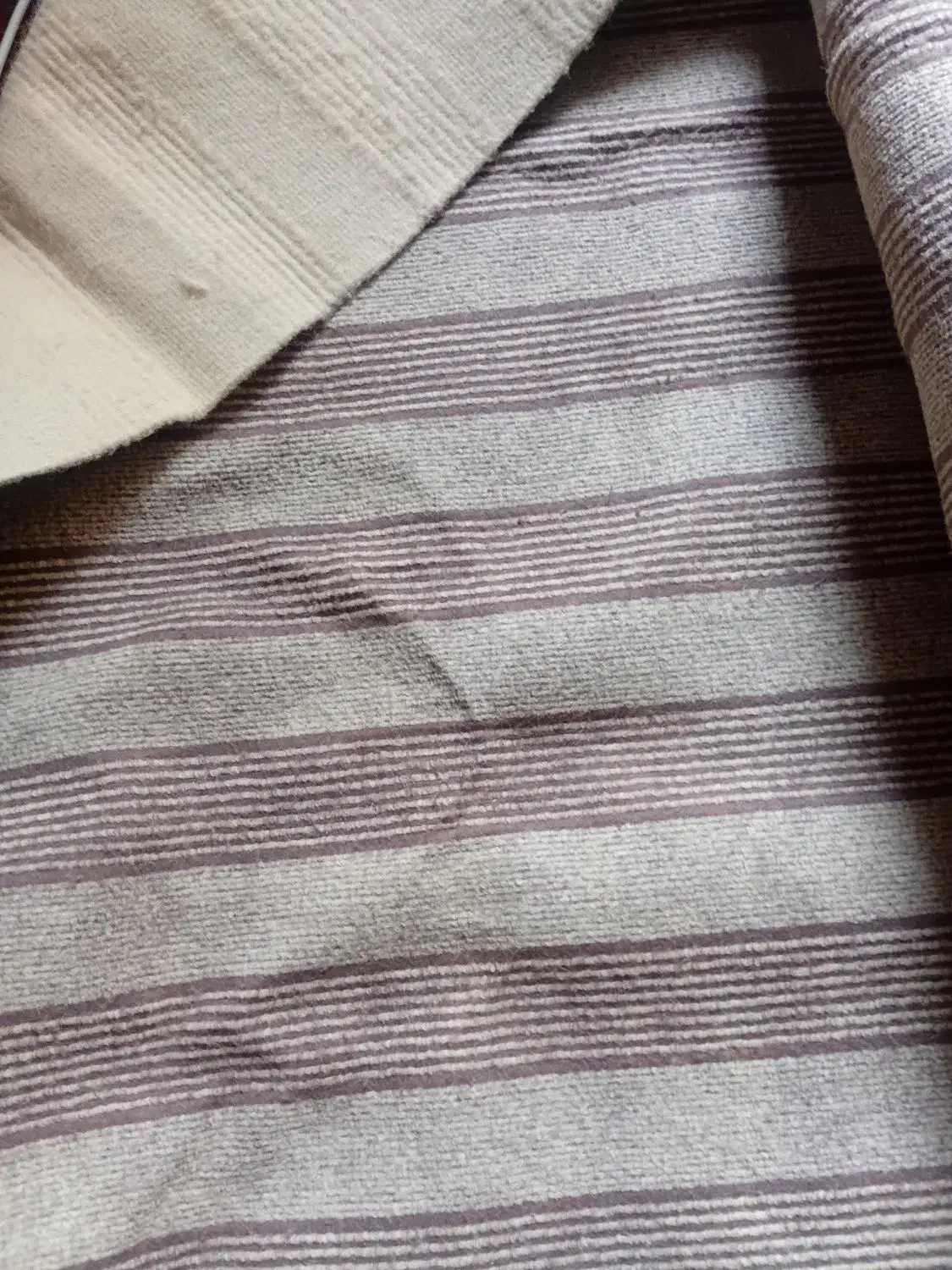 دو عدد موکت|موکت|گنبد کاووس, |دیوار