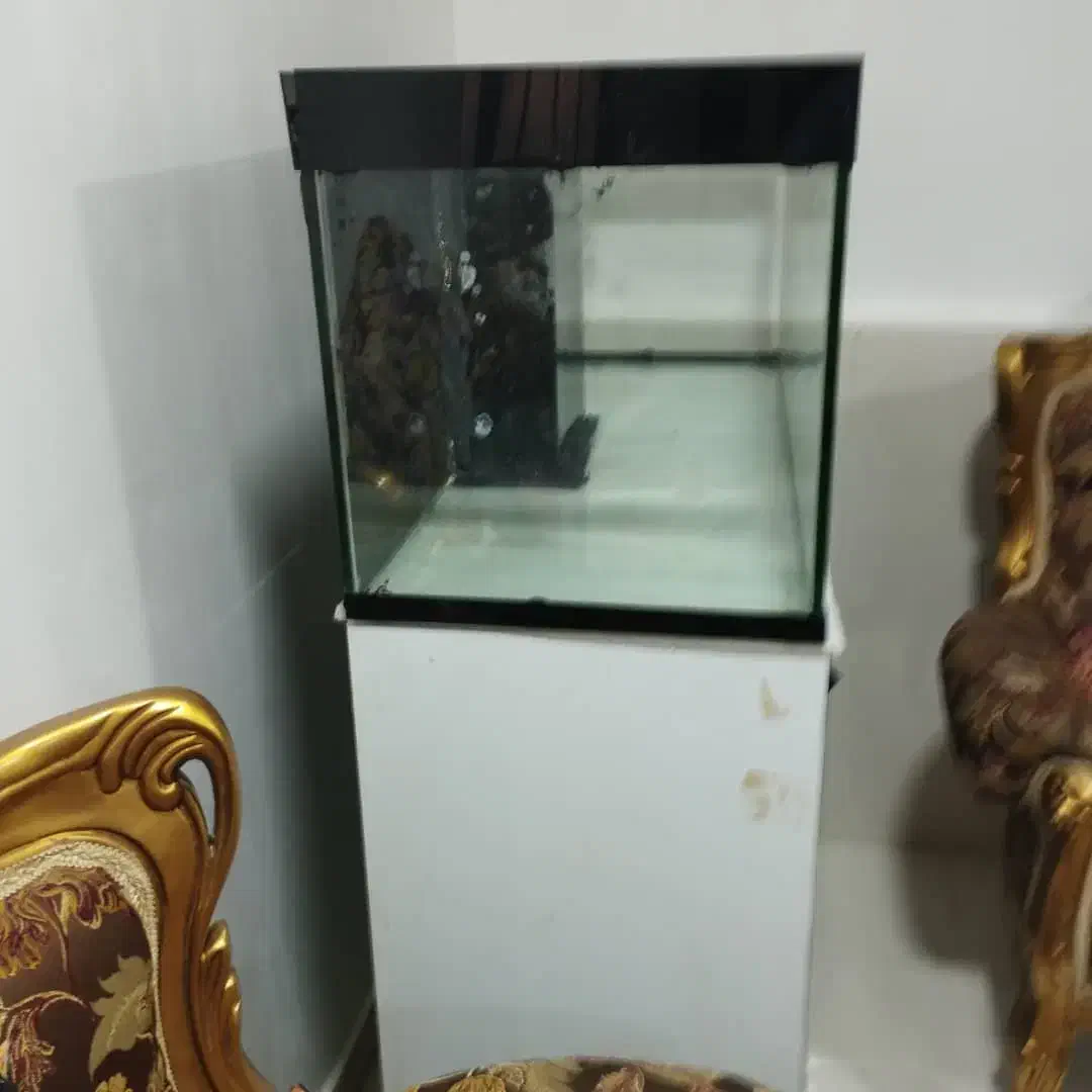 اکواریوم آبشور کامل با سامپ و کمد|ماهی|بندرعباس, |دیوار