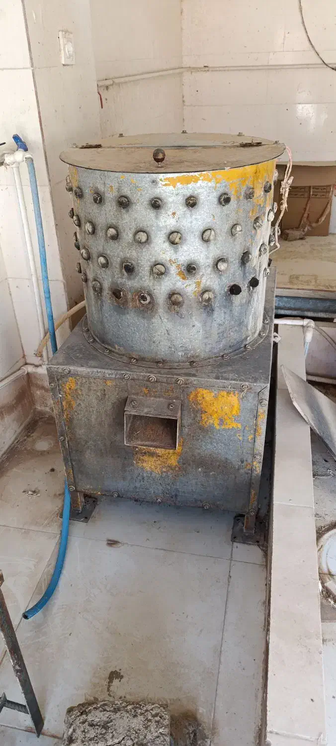 پرکن مرغ|لوازم جانبی حیوانات|دره شهر, |دیوار