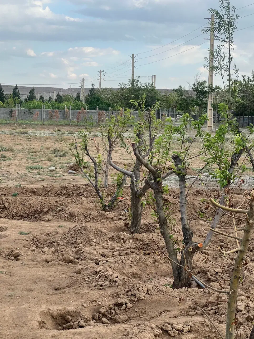۲۱۱مترزمین/سهیلیه/زعفرانیه/سنددار/اقساطی|فروش زمین و ملک کلنگی|رامجین, |دیوار