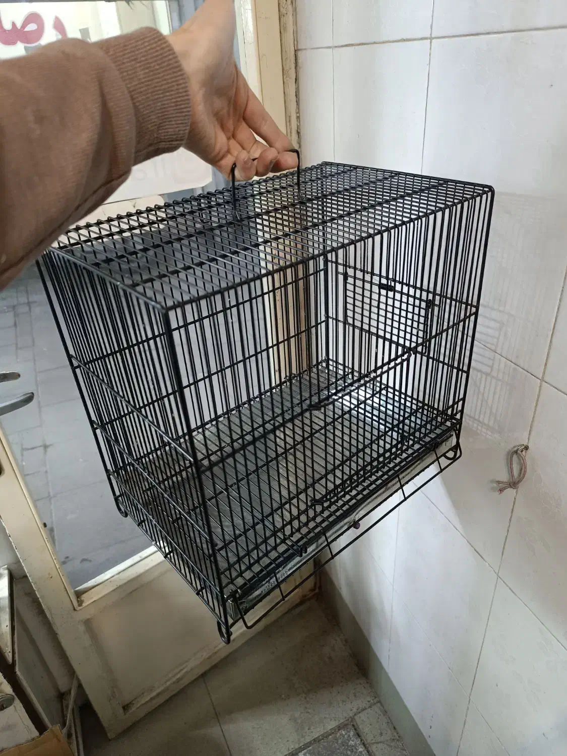 قفس سهره|زیورآلات و اکسسوری|مراغه, |دیوار