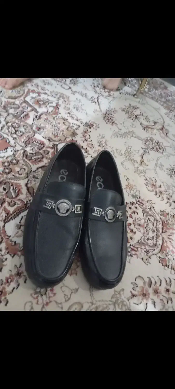 کالج مردانه|کیف، کفش، کمربند|قم, چهل درخت‎|دیوار