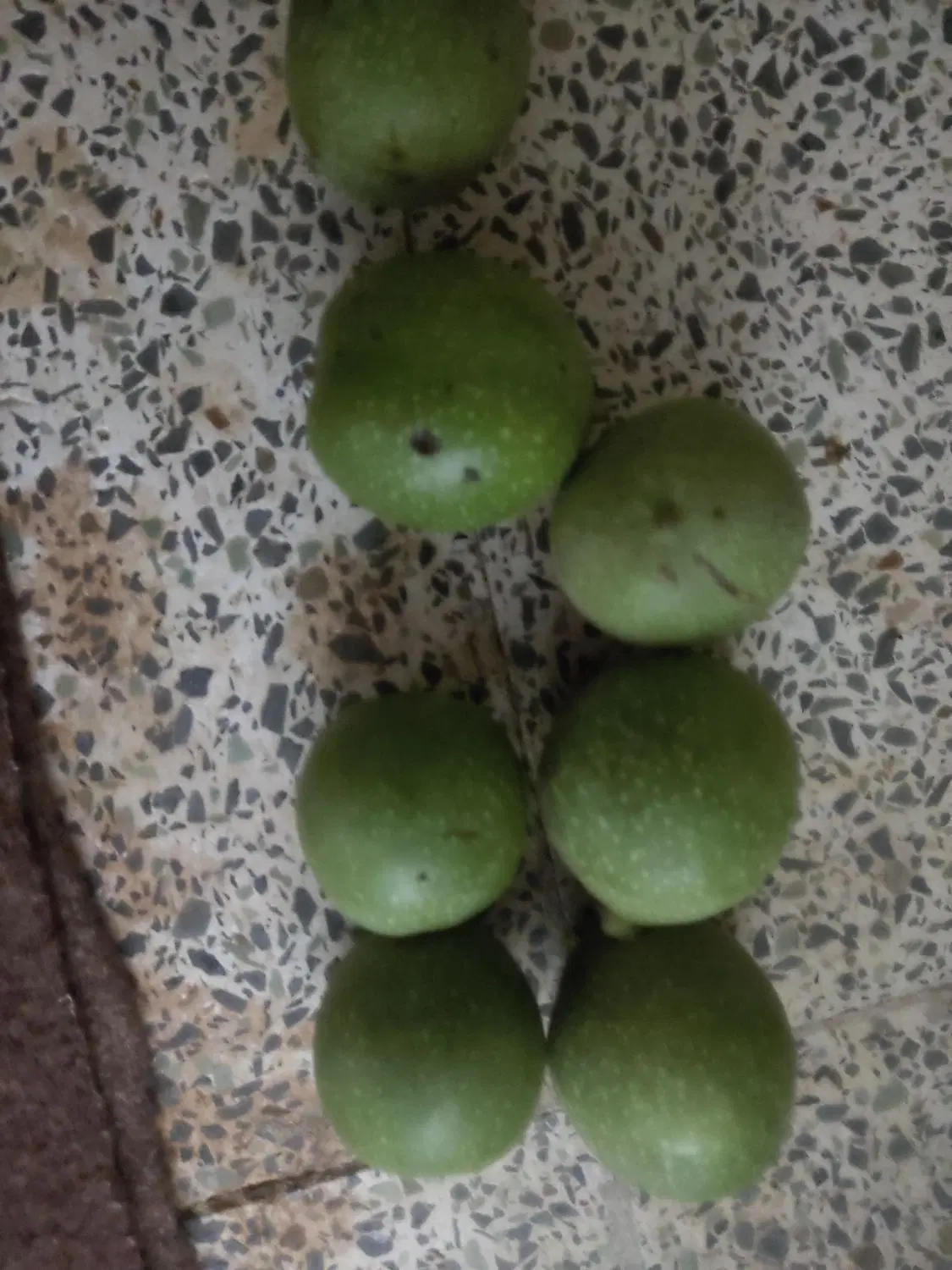 گردو|خوردنی و آشامیدنی|شازند, |دیوار