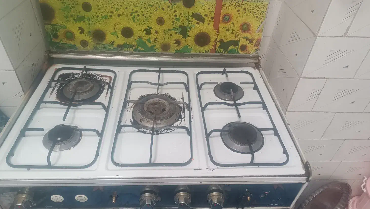 گاز|اجاق گاز و لوازم برقی پخت‌وپز|تربت‌حیدریه, قائم|دیوار