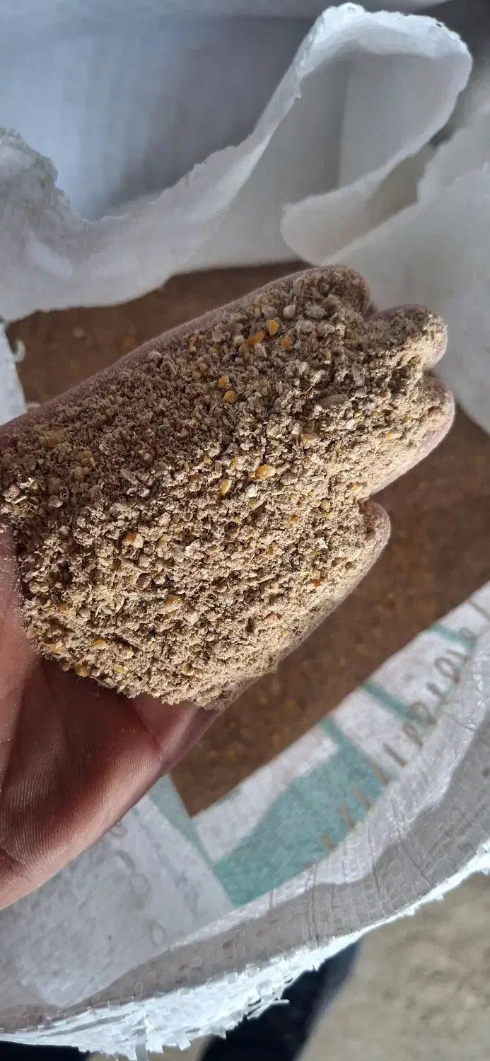 گندم ذرت سویا|لوازم جانبی حیوانات|ترکمانچای, |دیوار