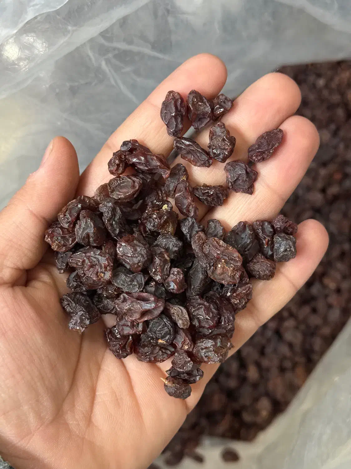 کشمش افتابی|خوردنی و آشامیدنی|نجفآباد, باغ ملی|دیوار