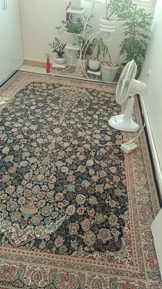 فرش قالی سلیمان مدل افشار|فرش|تهران, عبدل‌آباد|دیوار