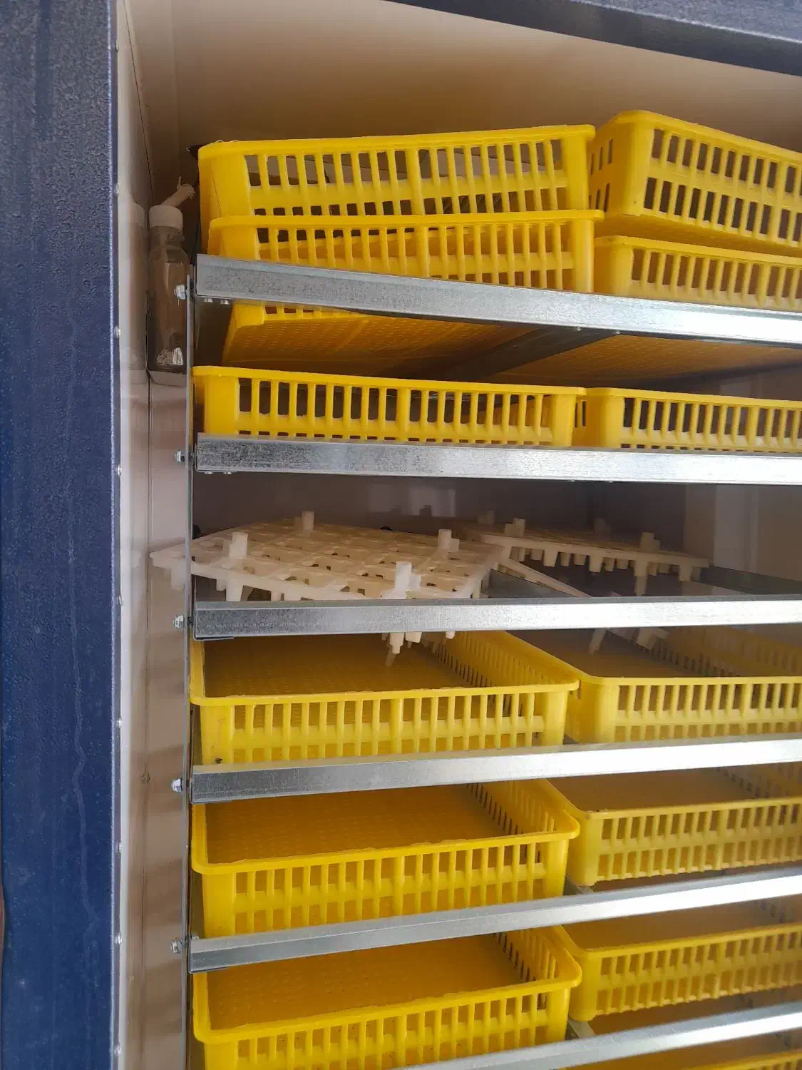 دستگاه جوجه کشی ۱۸۵۰ تایی|لوازم جانبی حیوانات|شهرکرد, |دیوار