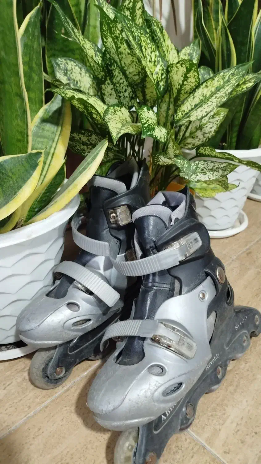 اسکیت تا سایز ۳۹|دوچرخه، اسکیت، اسکوتر|ساری, |دیوار