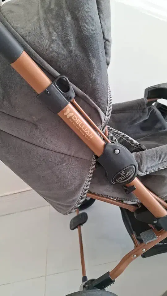 کالسکه|کالسکه و لوازم جانبی|شوش, |دیوار