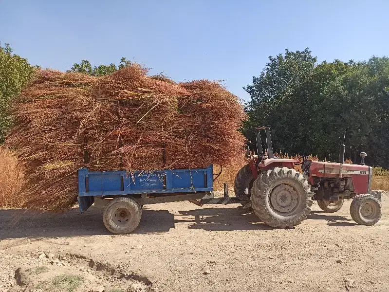 کار با تراکتور|خدمات حمل و نقل|نهاوند, |دیوار