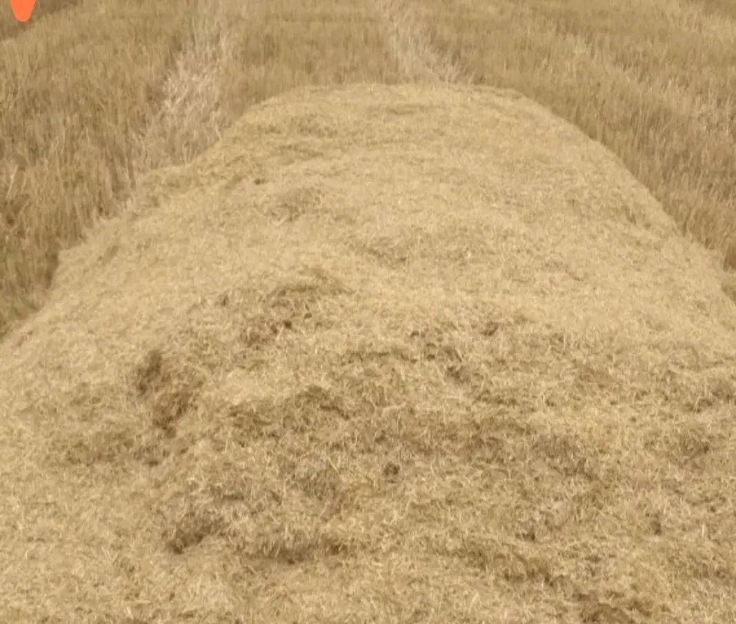 کاه|حیوانات مزرعه|رامشیر, |دیوار