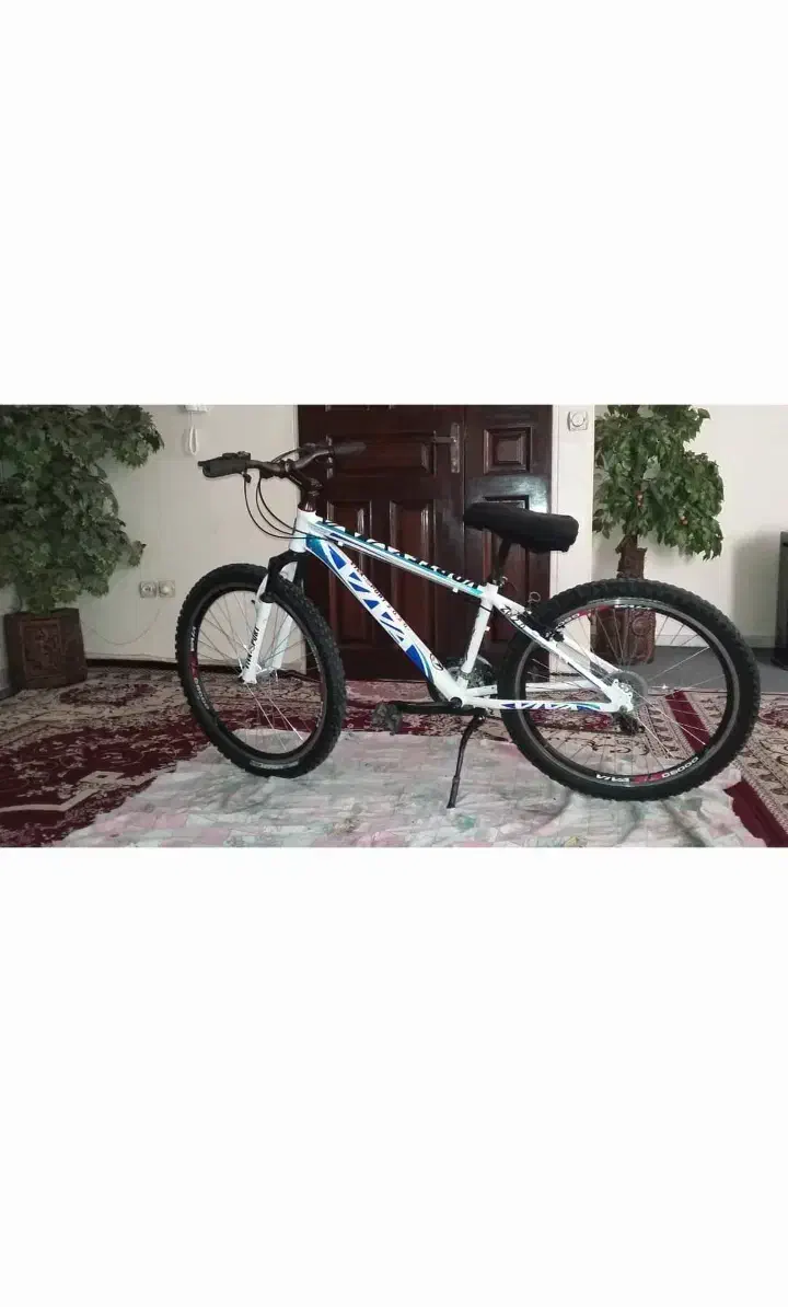 دوچرخه|دوچرخه، اسکیت، اسکوتر|پاکدشت, پاکدشت (مامازند)|دیوار