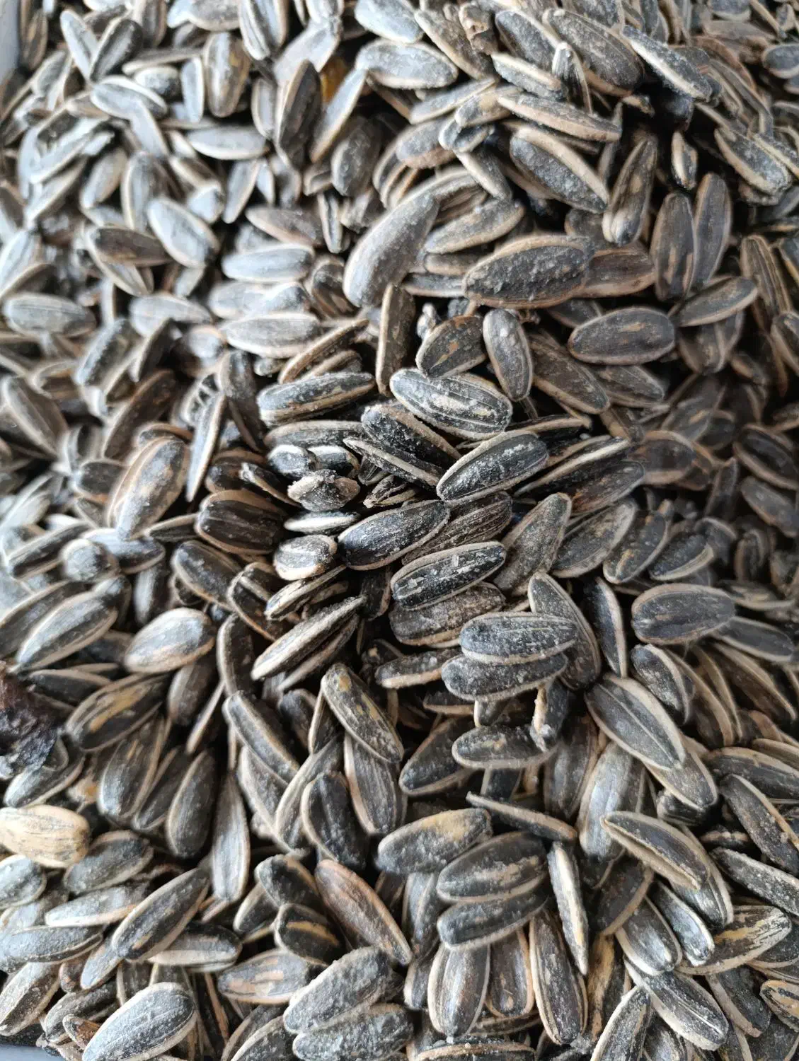 شاگرد شیفت شب متعهد و خوش برخورد|استخدام خدمات فروشگاه و رستوران|سبزوار, شهرک صنعتی خاوران|دیوار