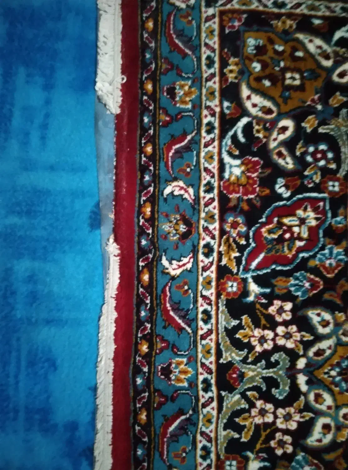 فرش قدیمی ولی نو|فرش|مشهد, توس (بلوار توس)|دیوار