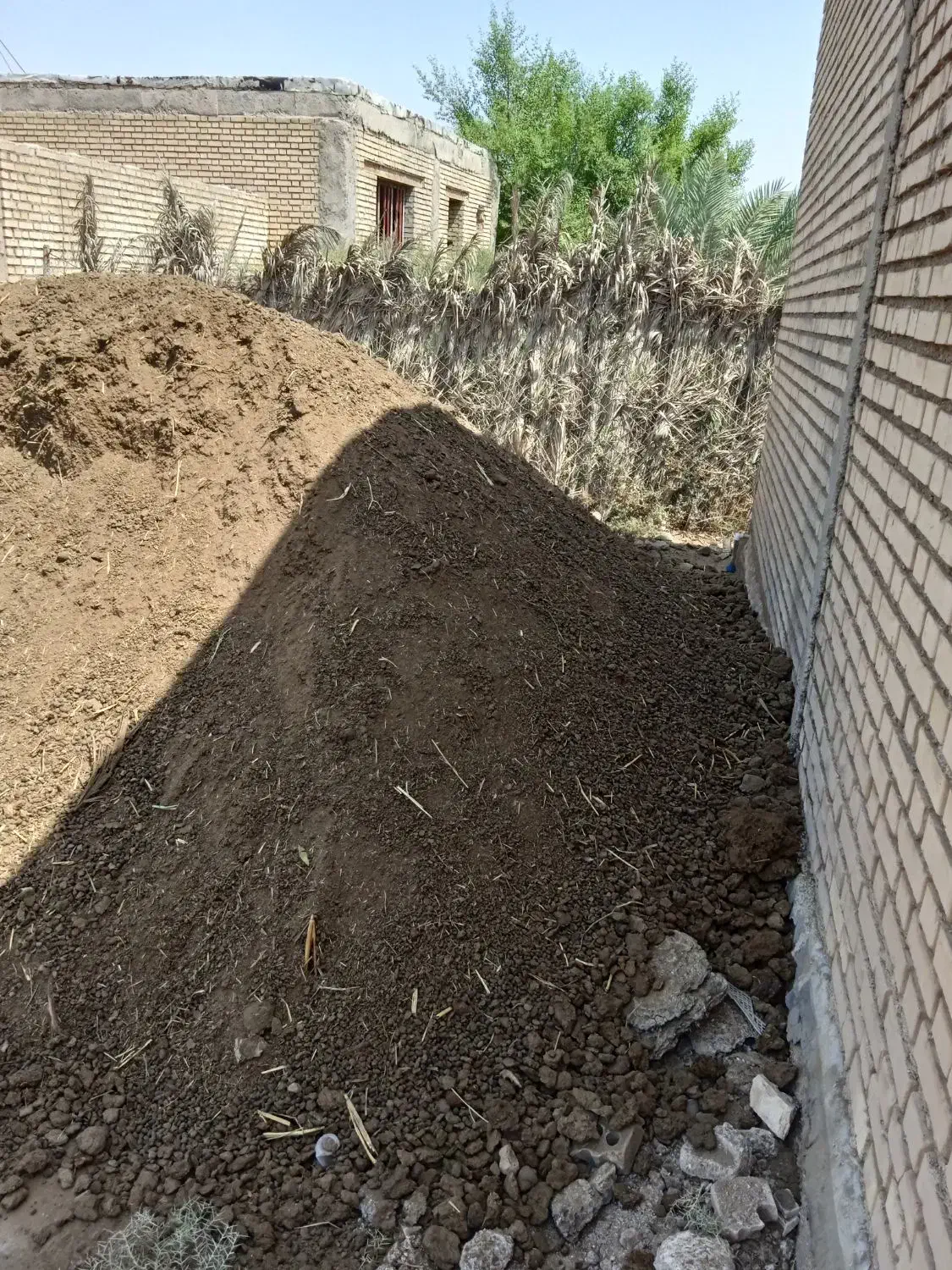 کود گوسفندی|خدمات باغبانی و درختکاری|آبادان, |دیوار