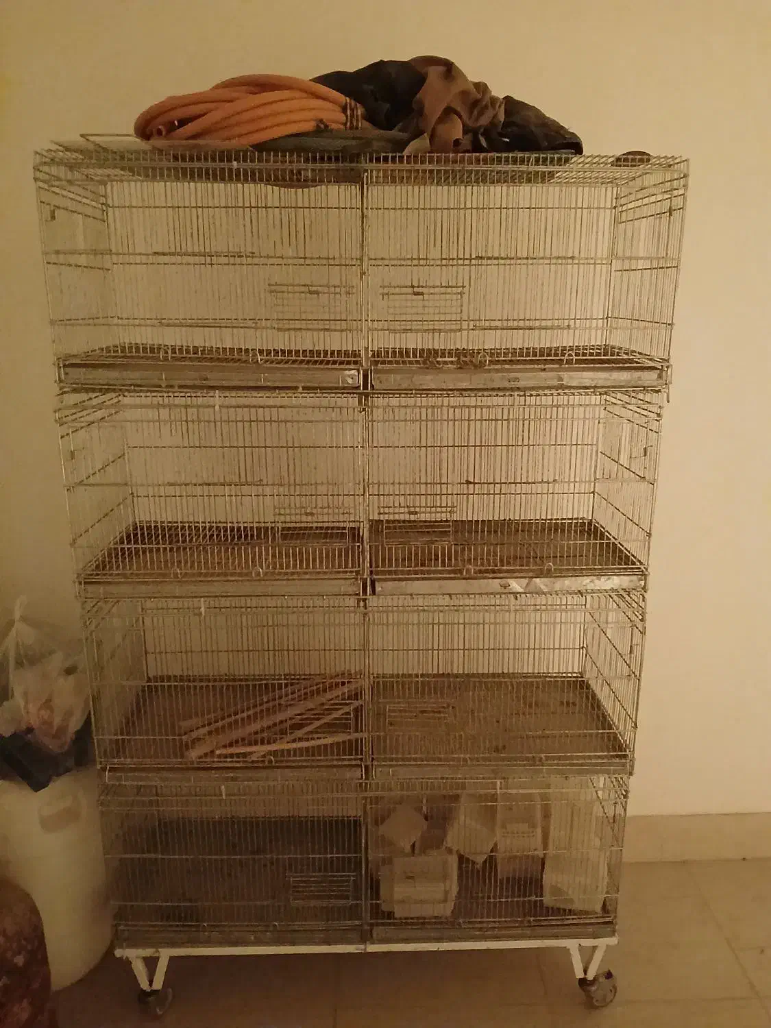 جفت خون|لوازم جانبی حیوانات|بوشهر, |دیوار