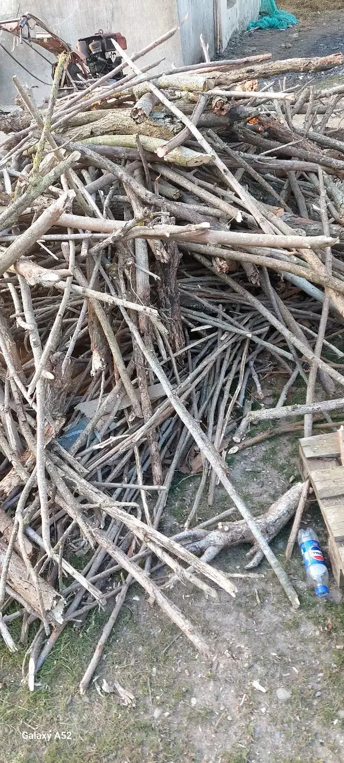 ضایعات چوب|خدمات پیشه و مهارت|رودبنه, |دیوار