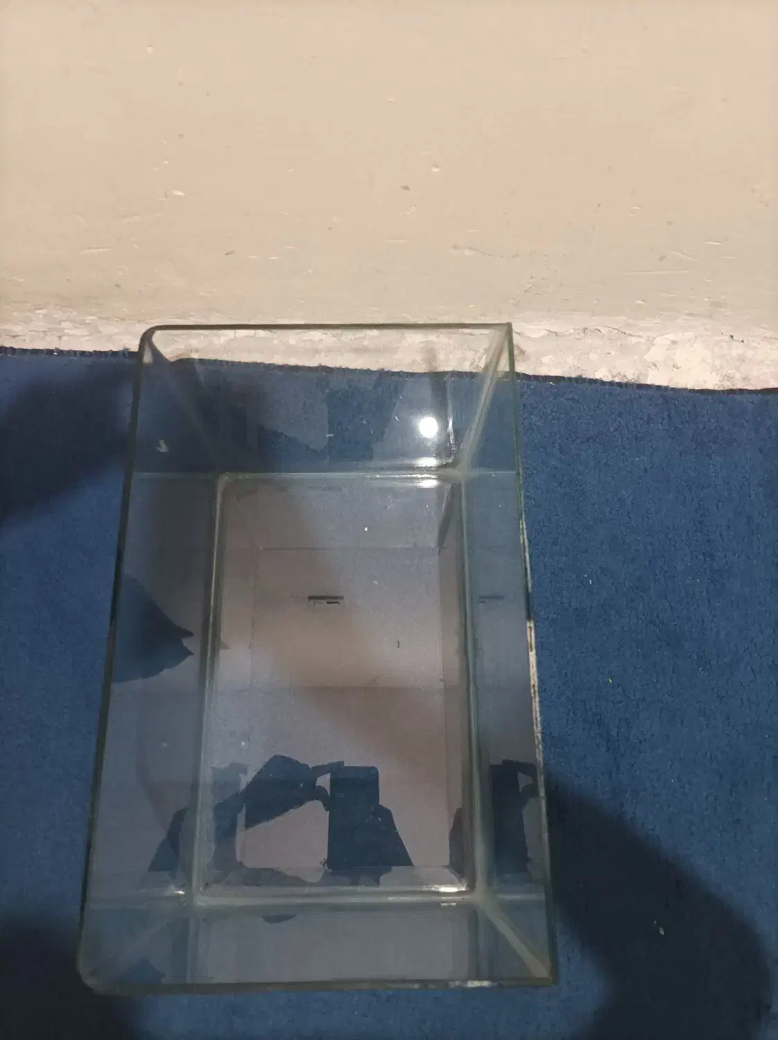 آکواریم|ماهی|مشهد, چهارچشمه|دیوار