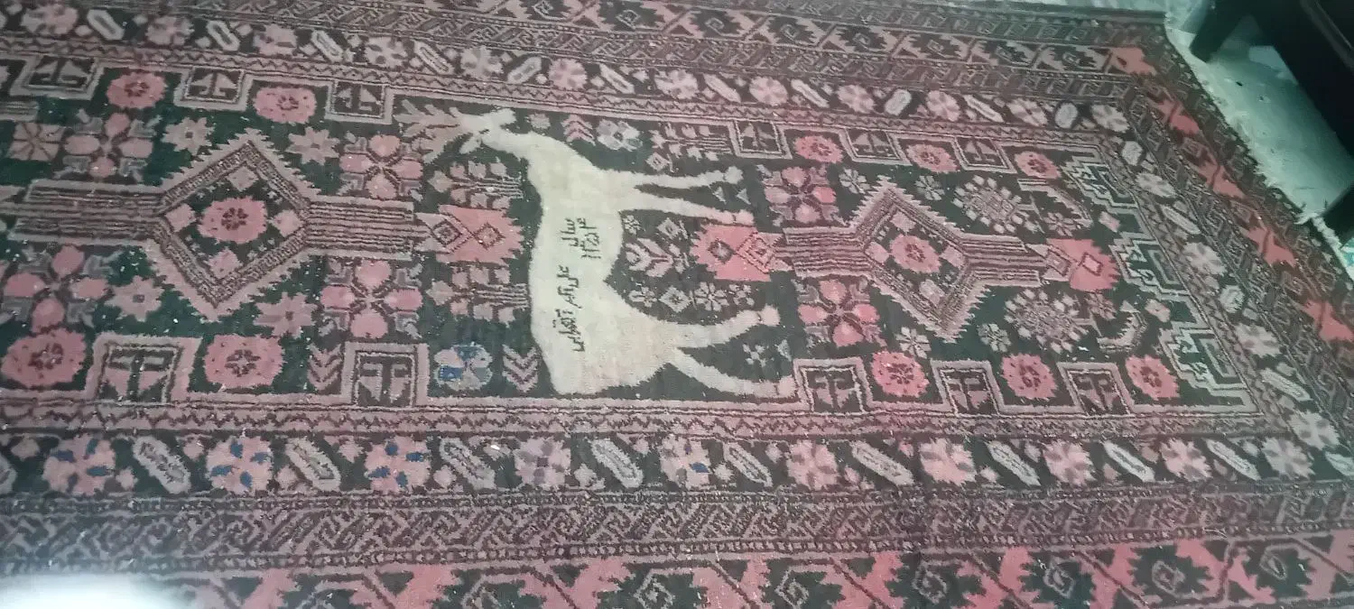 فرش|فرش|بروجرد, |دیوار