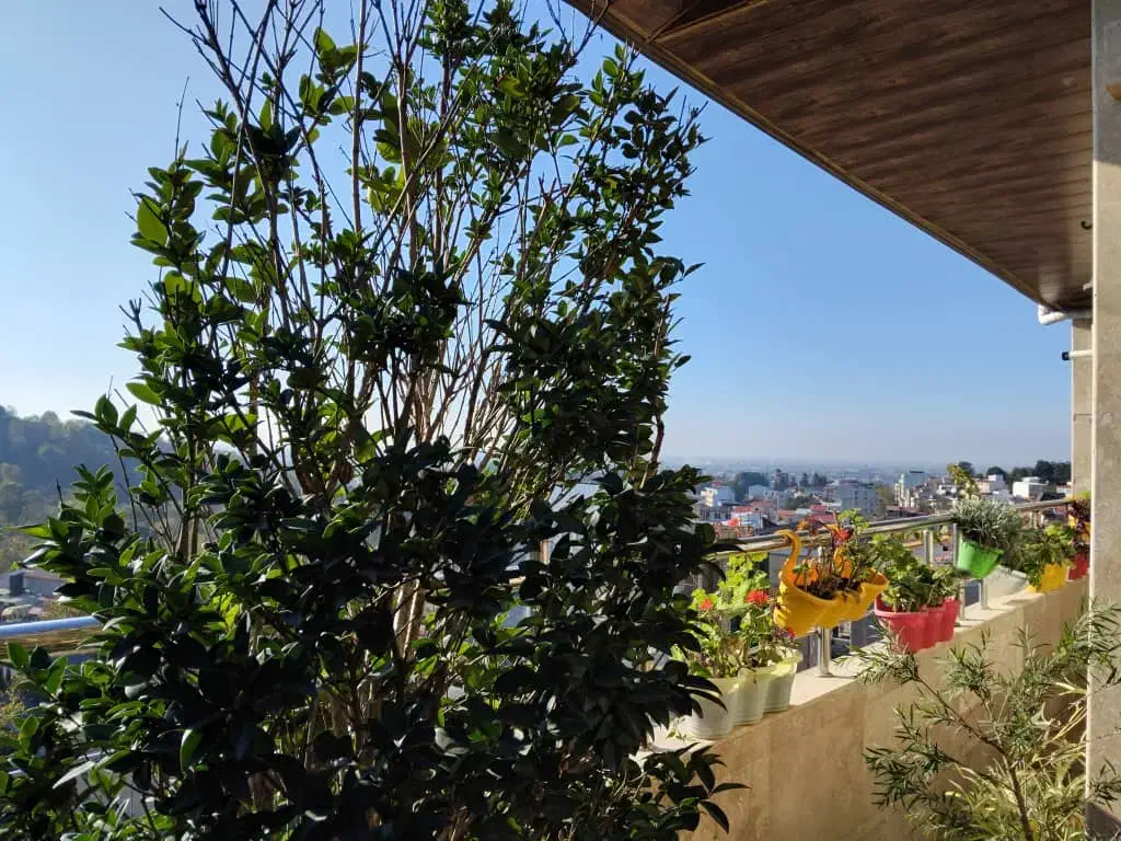 فروش واحد دوبلکس طبقه اخر فول فرنیش سعدی زوج|فروش آپارتمان|لاهیجان, کوه بیجار|دیوار