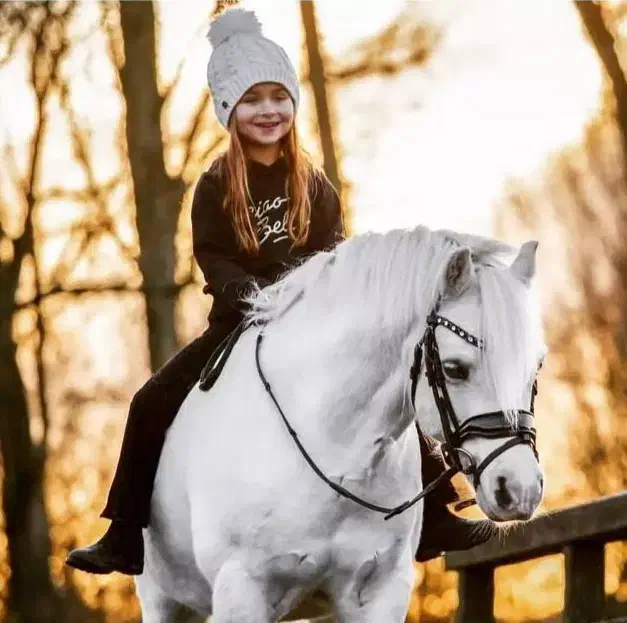 سواری آزاد از مبتدی تا پیشرفته|خدمات آموزشی|بجنورد, |دیوار