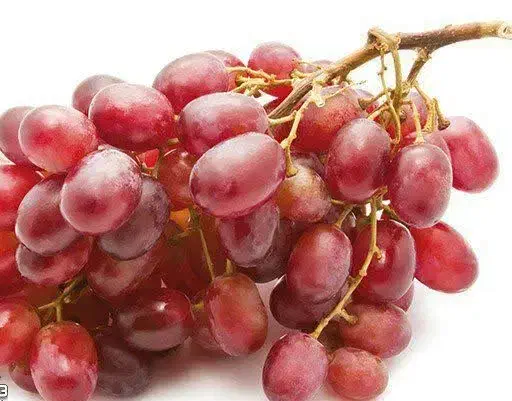 ارائه نهال انگورکریسمون پربار و شیرین|خدمات باغبانی و درختکاری|درب گنبد, |دیوار