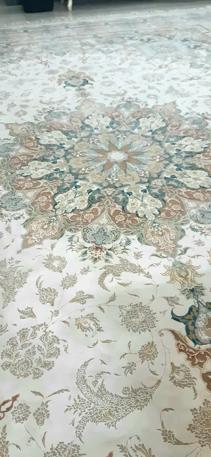 فرش ۱۲ متری مشهد|فرش|مشهد, کوثر|دیوار