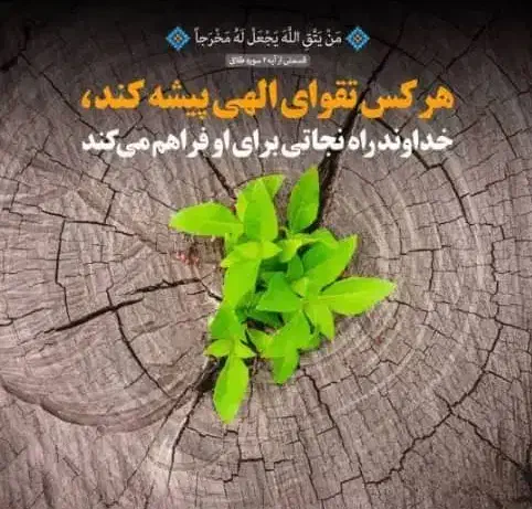 منشی موسسه خیریه|استخدام اداری و مدیریت|شیراز, کوشک میدان|دیوار