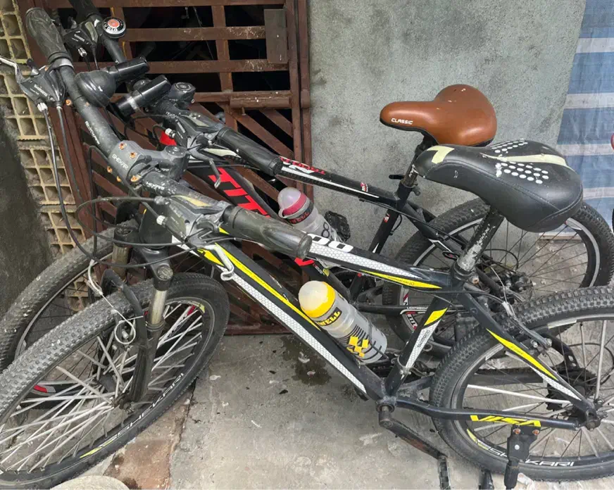 دوچرخه حرفه ای|دوچرخه، اسکیت، اسکوتر|بندر انزلی, کلیور|دیوار