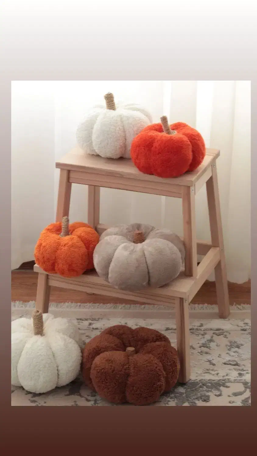 کوسن و دکوری کدو|صنایع دستی و سایر لوازم تزئینی|رشت, سعدی (تختی)|دیوار