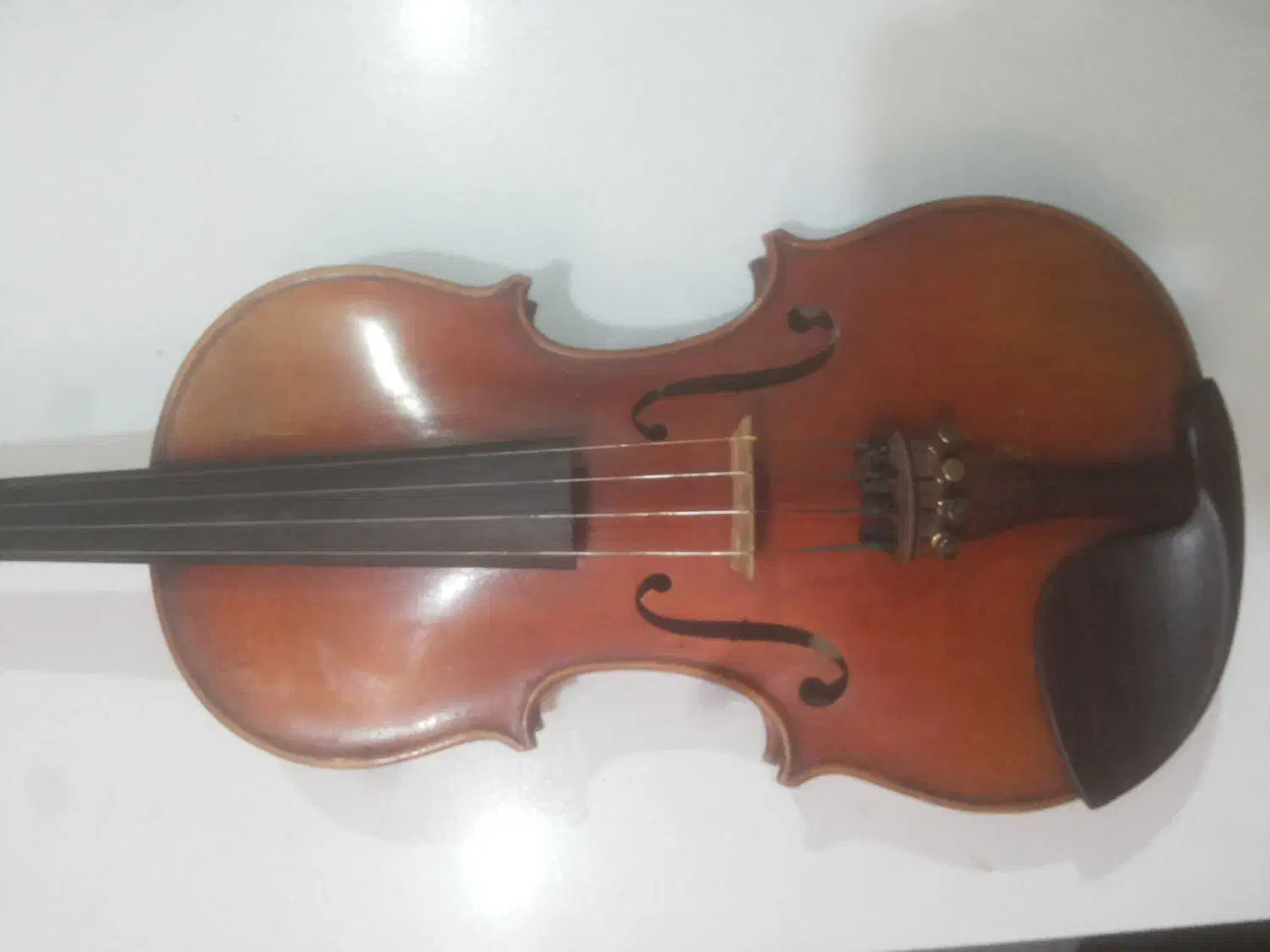 ویلن حرفه ای clemens p200|ویولن|کرج, کرج نو|دیوار