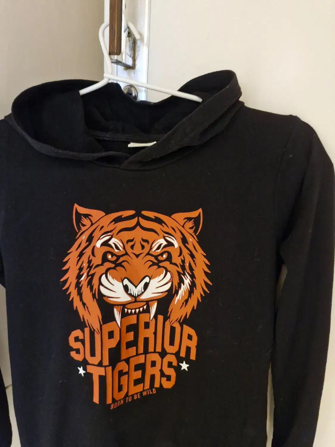 پوشاک و لوازم منزل|تلویزیون و پروژکتور|ارومیه, |دیوار