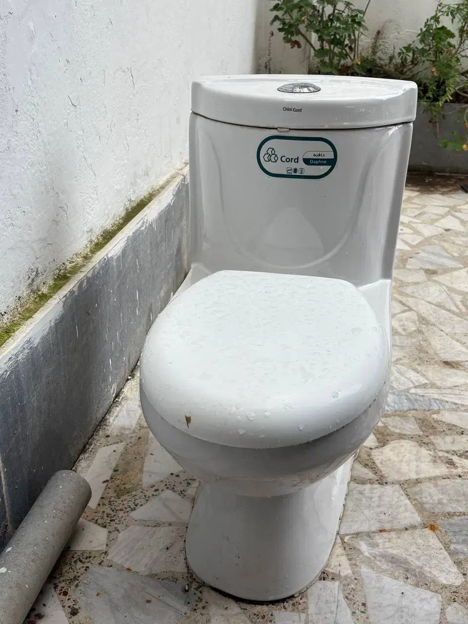 توالت فرنگی|لوازم سرویس بهداشتی|رشت, منظریه|دیوار