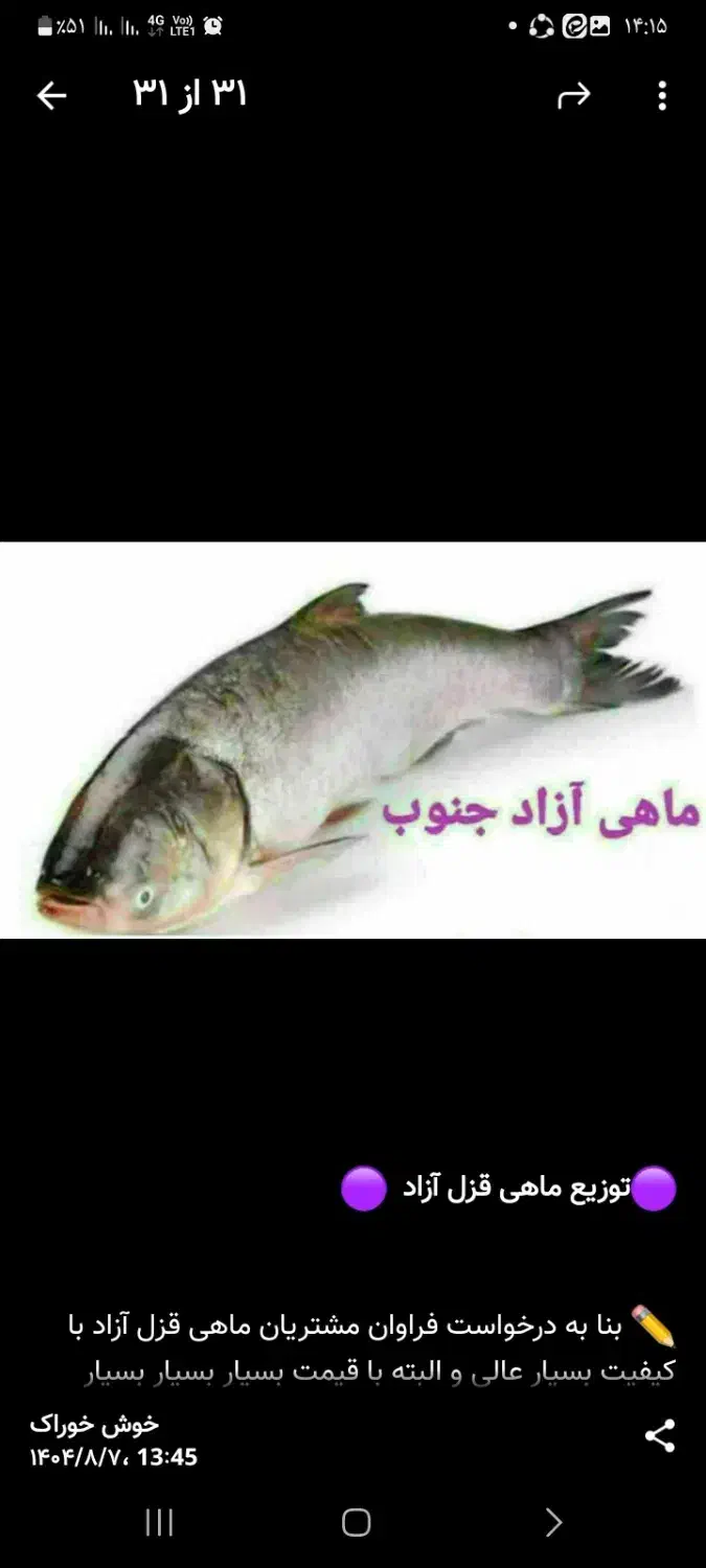 ماهی قزل آلا بسیار ارزان|ماهی|مشهد, شهید هاشمی نژاد|دیوار