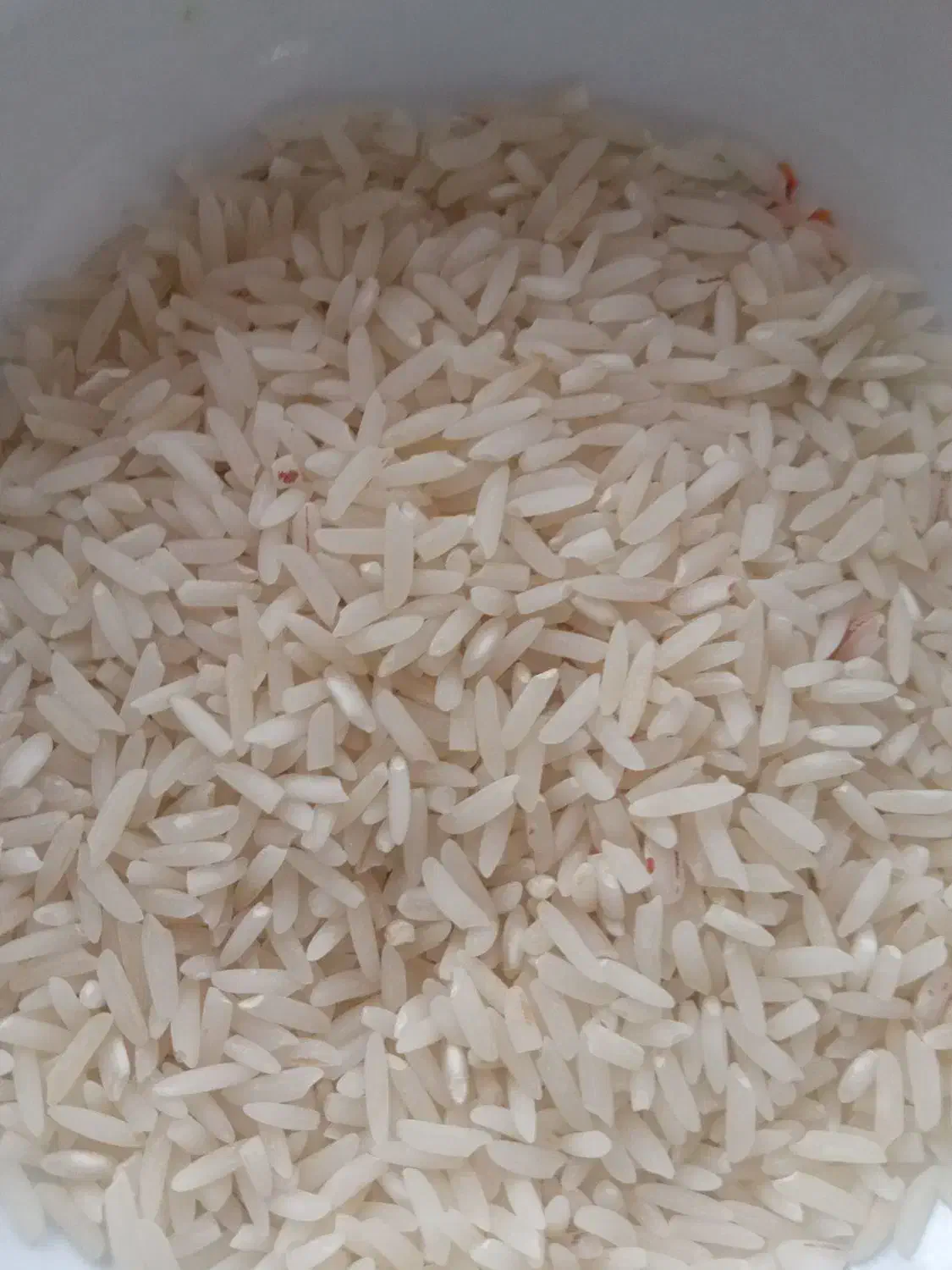 برنج اصیل دم سیاه کلات نادر کاملا ارگانیک|خوردنی و آشامیدنی|مشهد, حسابی جنوبی (شهرک غرب)|دیوار