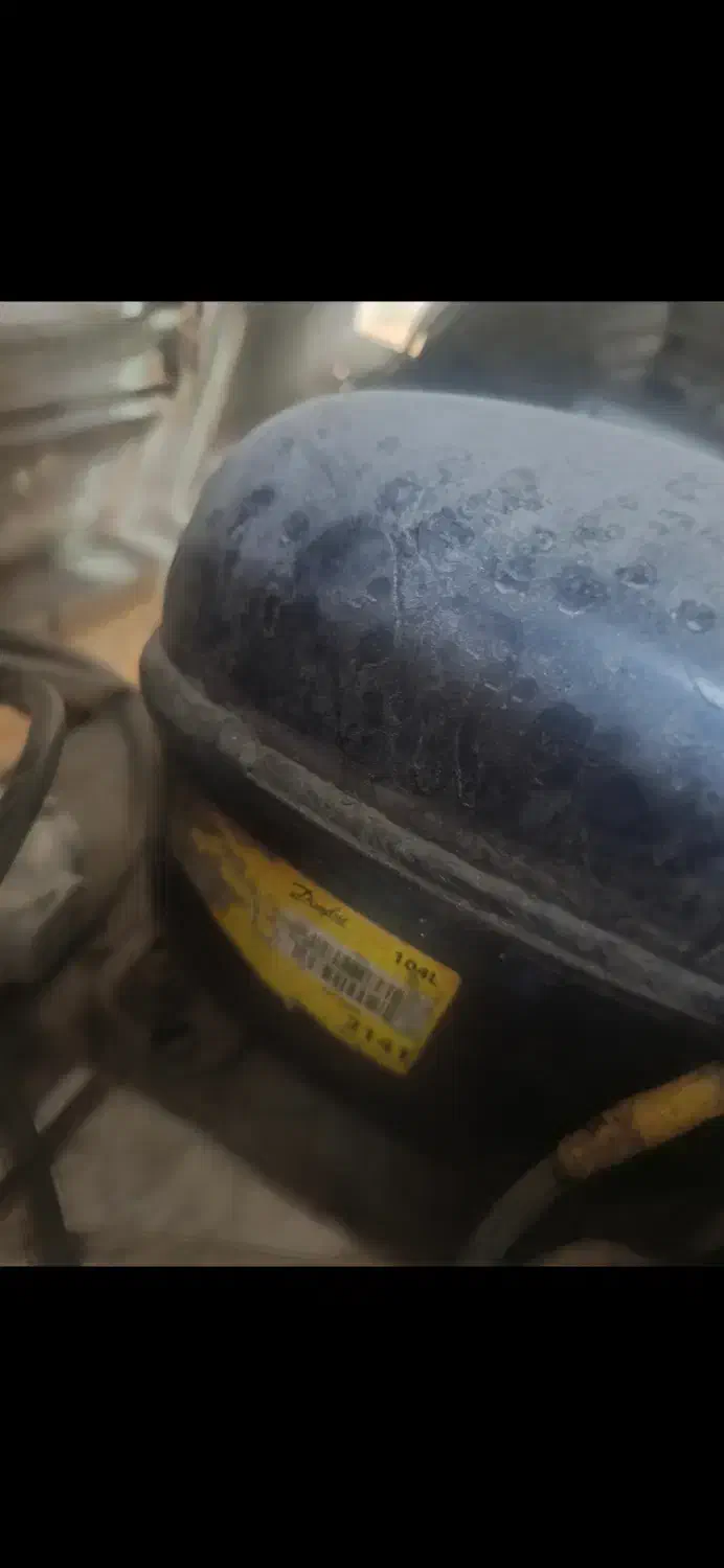 یخچال فروشی|فروشگاه و مغازه|سهند, |دیوار