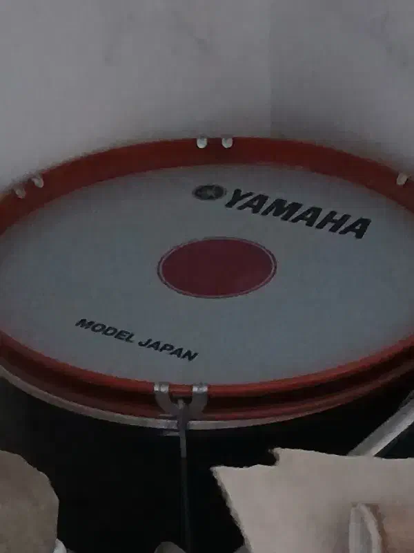 طبل نو نو|درام و پرکاشن|تربت‌حیدریه, باغ ملی|دیوار