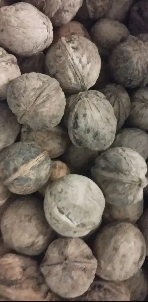 گردو خشک تازه .سرکه سیب .آبغوره|خوردنی و آشامیدنی|کرج, حسین‌آباد|دیوار