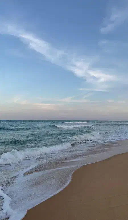 حواله جانبازان|خدمات مالی، حسابداری، بیمه|تهران, گمرک|دیوار