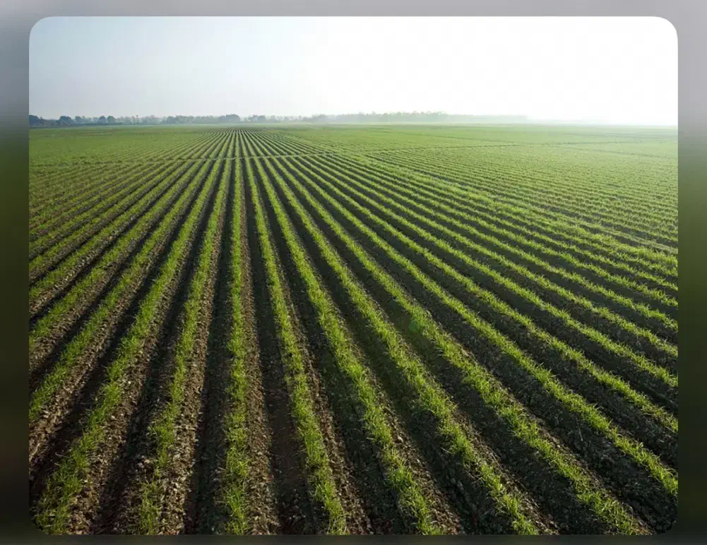 زمین کشاورزی هشتبندی|فروش دفتر صنعتی، کشاورزی، تجاری|میناب, |دیوار