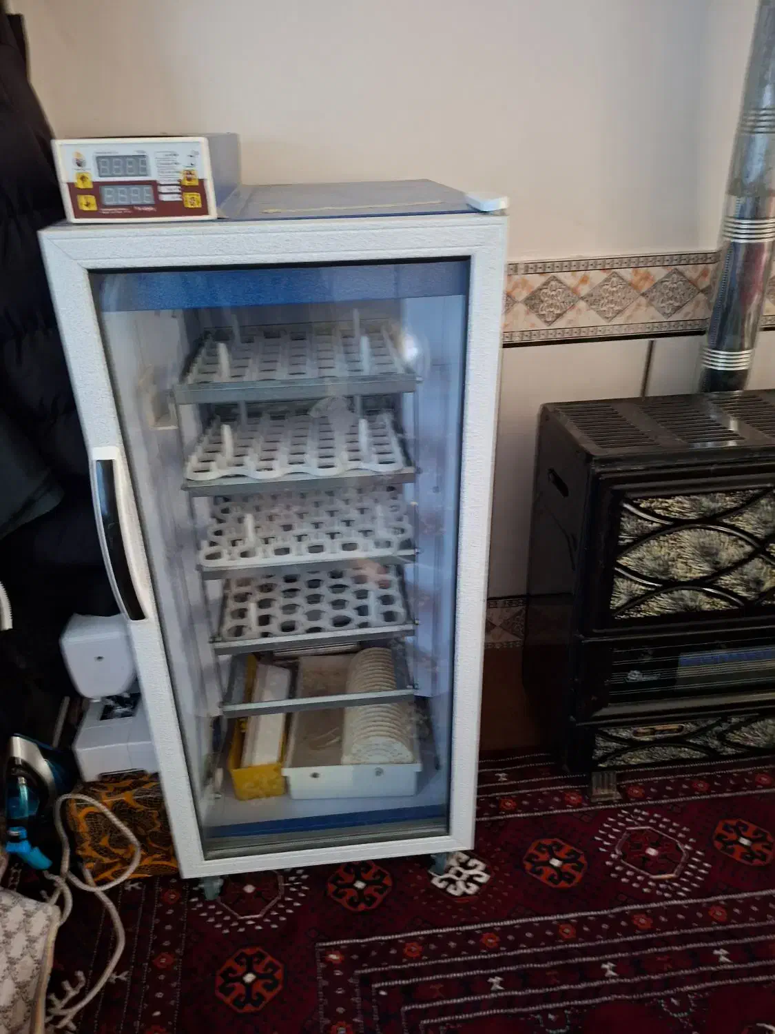 سلام دستگاه جوجه کشی ۲۱۰تایی|لوازم جانبی حیوانات|تاتار علیا, |دیوار