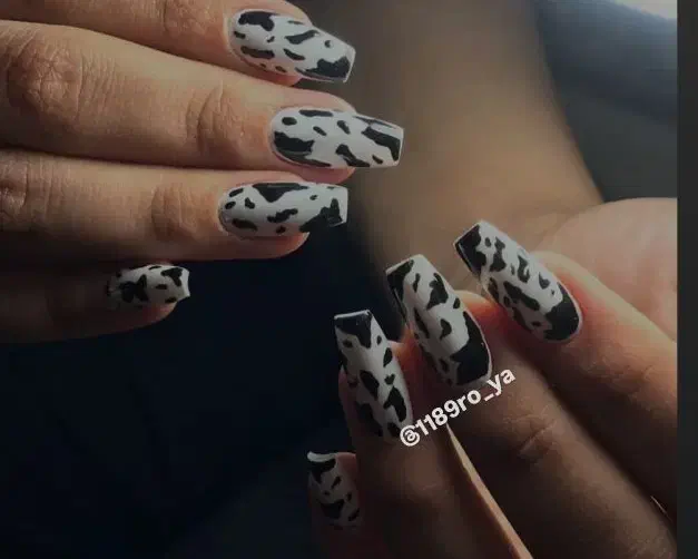 خدمات ناخن با بهترین مواد و قیمت|خدمات آرایشگری و زیبایی|گنبد کاووس, |دیوار