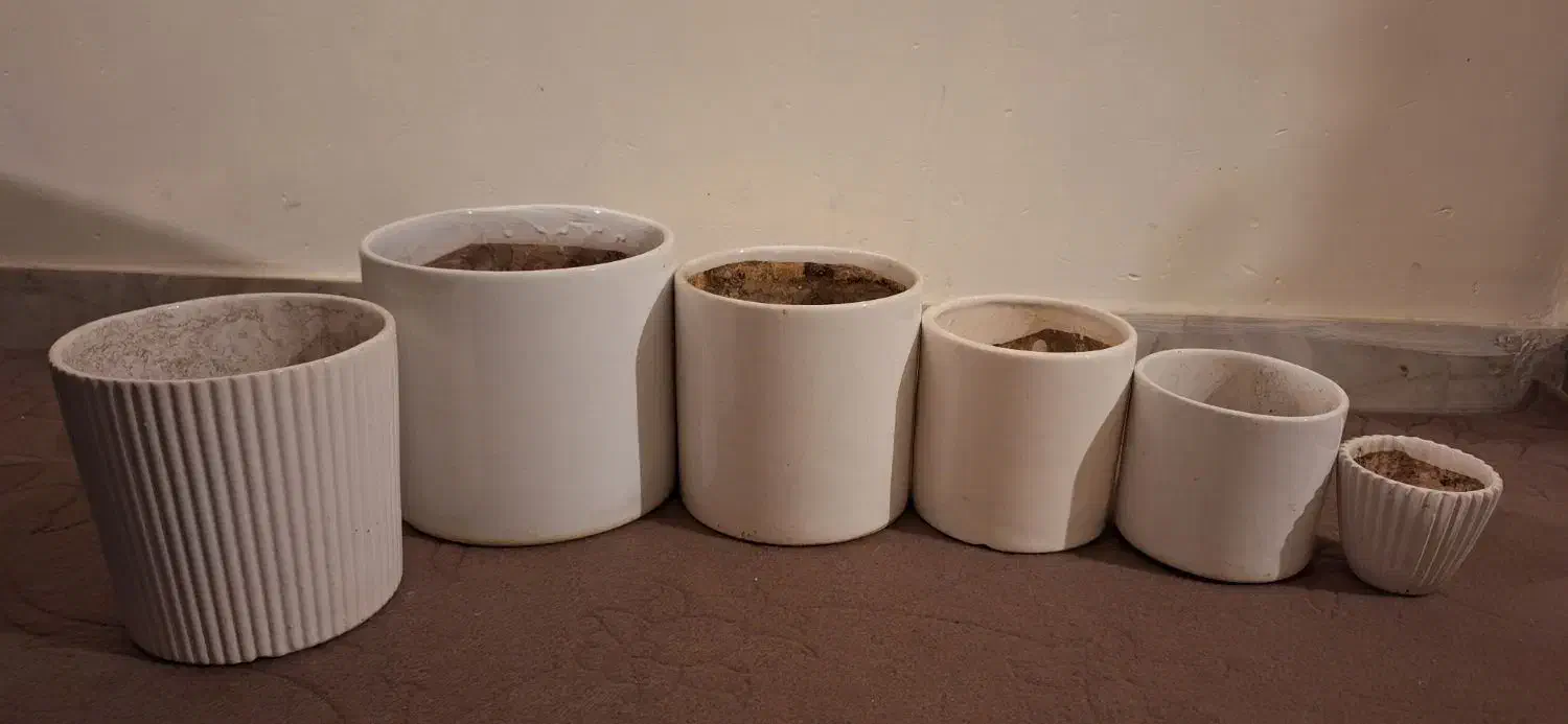 ۶عدد گلدان سفالی|گل و گیاه طبیعی|سمنان, |دیوار