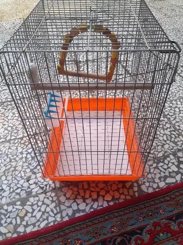 عدد قفس پرنده|لوازم جانبی حیوانات|نسیمشهر, |دیوار