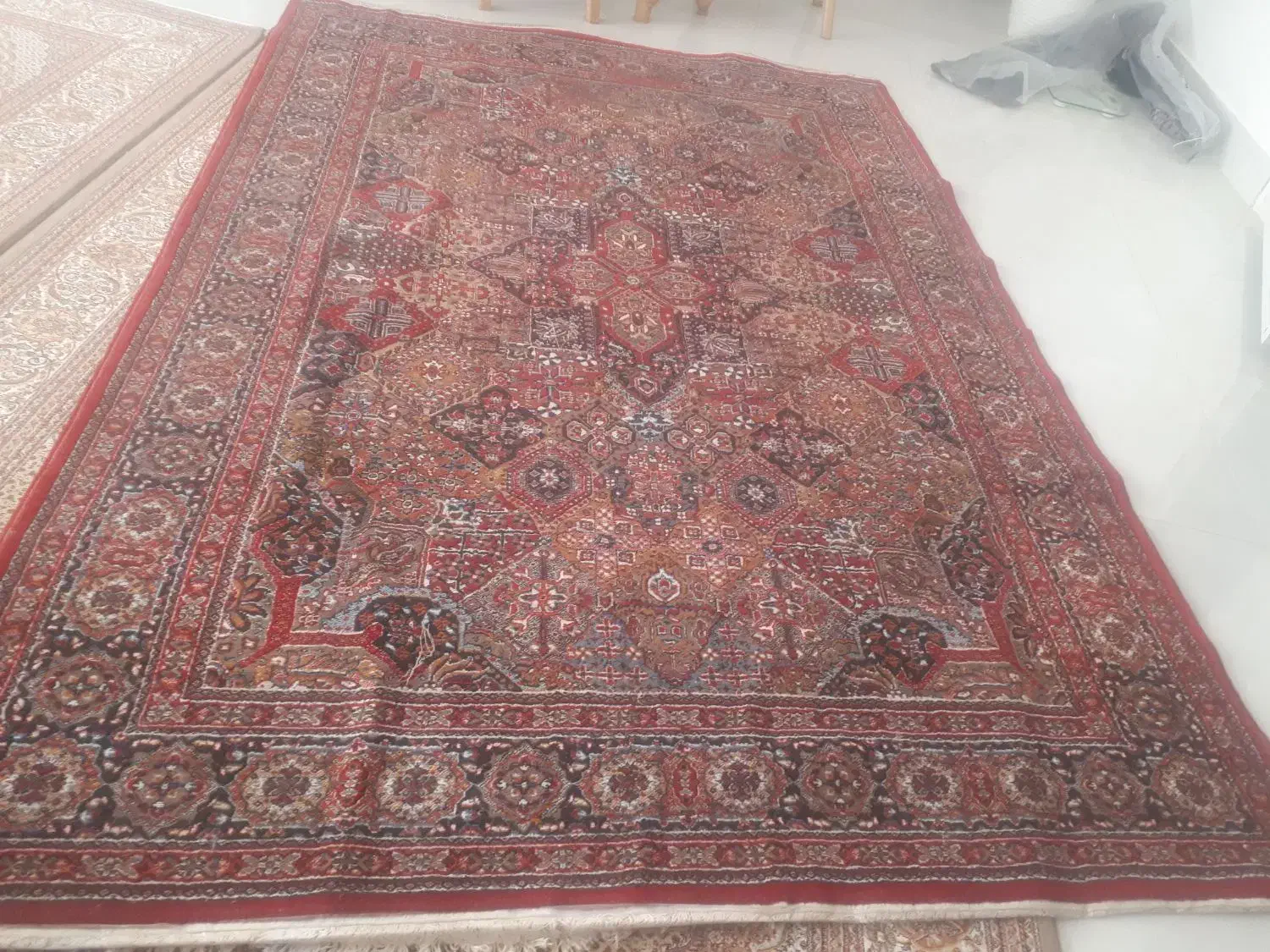 فرش|فرش|سلماس, |دیوار