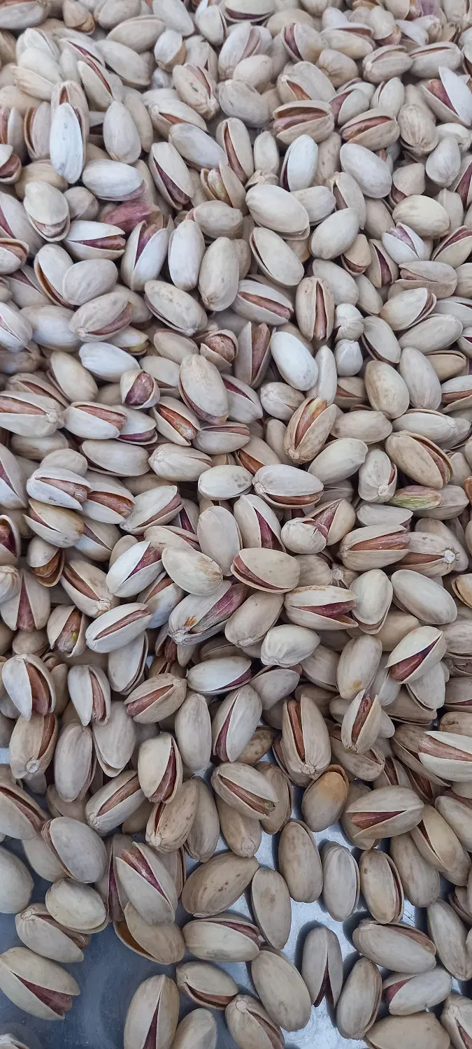 پسته|خوردنی و آشامیدنی|تهران, جردن|دیوار