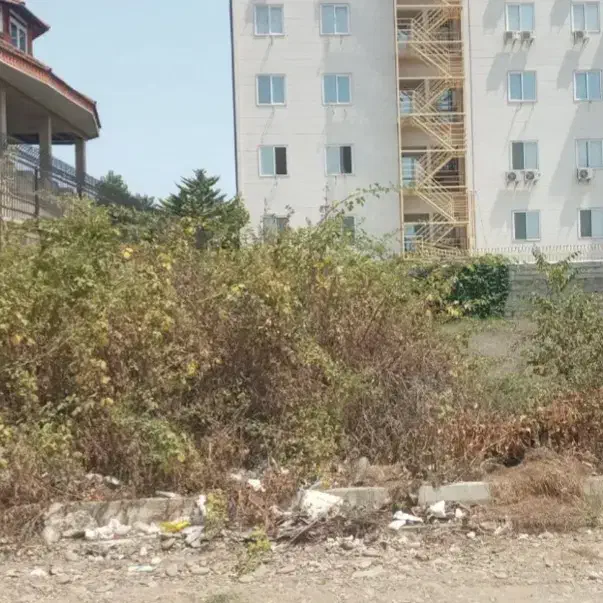 زمین500متری بر دوم مسکونی پاسداران کیلومتر5|فروش زمین و ملک کلنگی|بندر انزلی, پرستار|دیوار