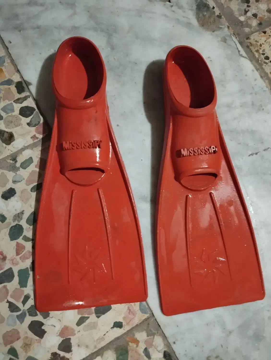 فین شنا|غواصی و ورزشهای آبی|بوشهر, |دیوار