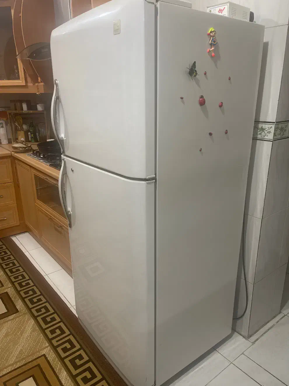 یخچال دوو کره ای|یخچال و فریزر|لامرد, |دیوار